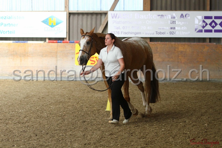 24-ApHC HIH_101.jpg